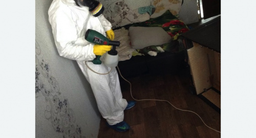 Обработка квартир от насекомых в Михайлове