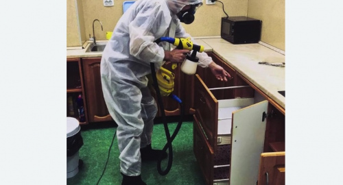 Дезинсекция квартиры. Михайлов