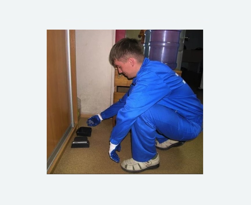 Дератизация крыс Дератизация крыс в Михайлове