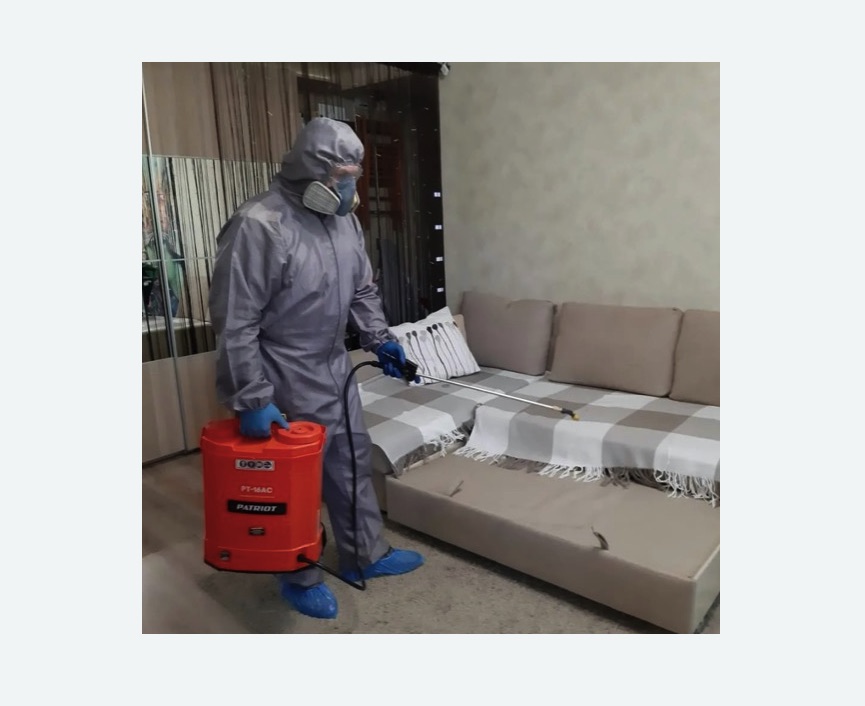 Обработка квартиры от блох в Михайлове Обработка квартиры от блох