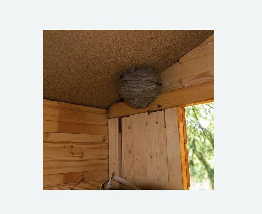 Обработка от ос в Михайлове Обработка от ос