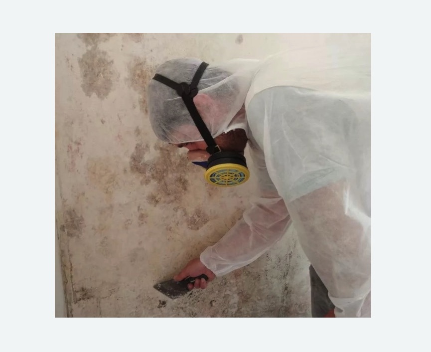 Обработка стен от плесени в Михайлове