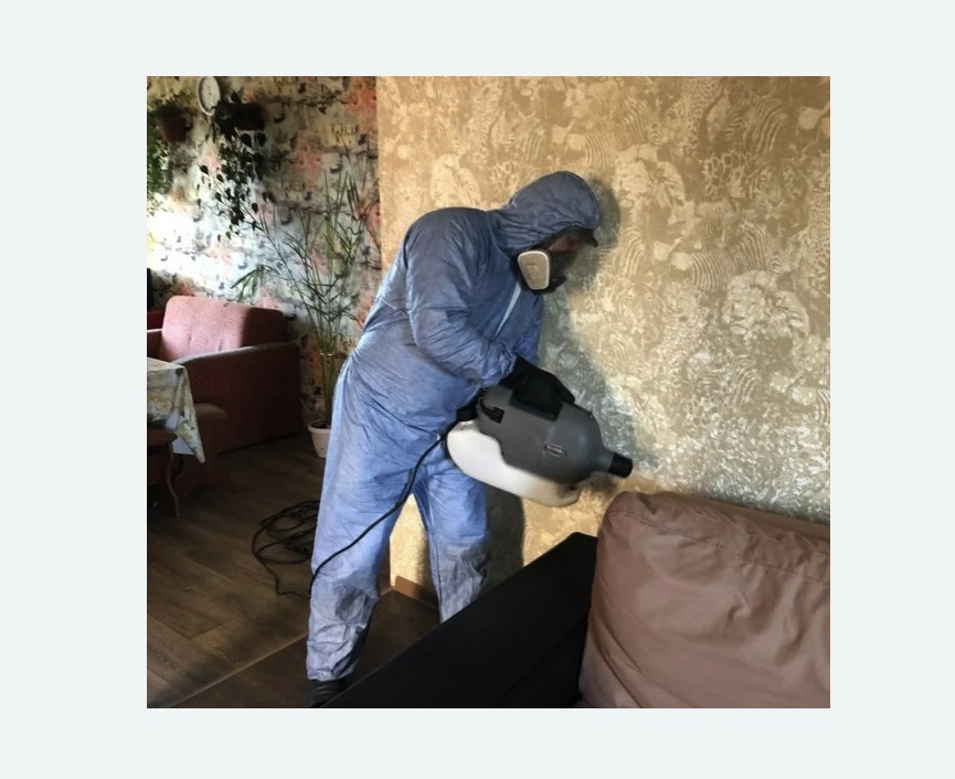 Уничтожение блох в квартире. Михайлов Уничтожение блох в квартире