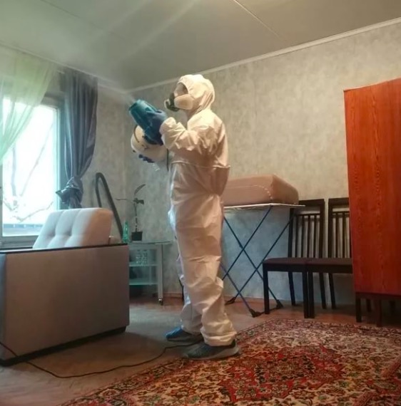 дезинсекция квартиры в Михайлове