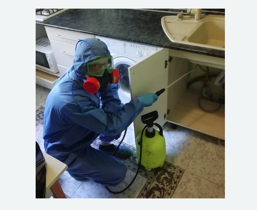 обработка от муравьев в квартире обработка от муравьев в квартире в Михайлове