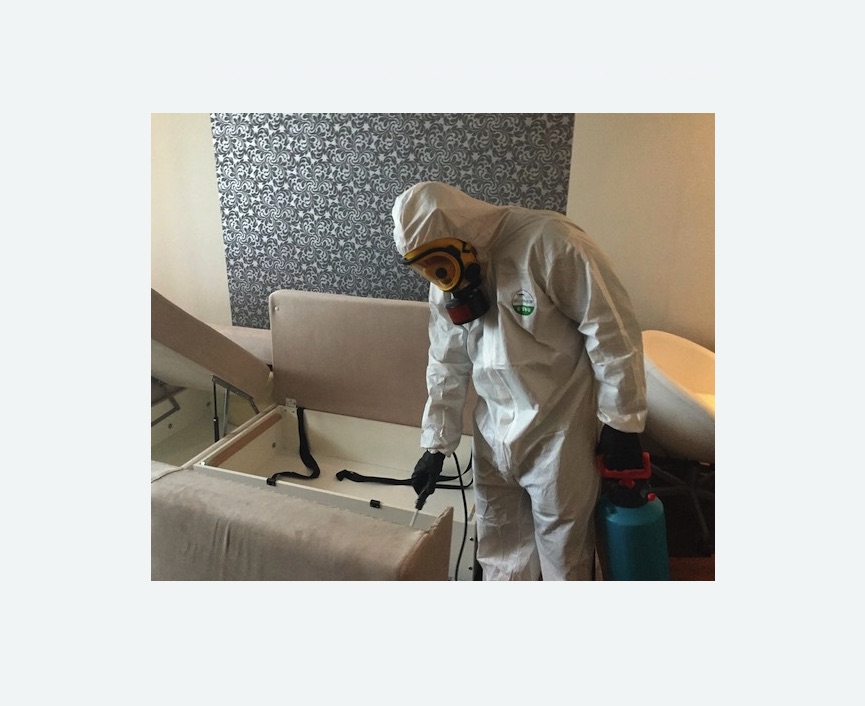 уничтожение клопов в квартире уничтожение клопов в квартире в Михайлове