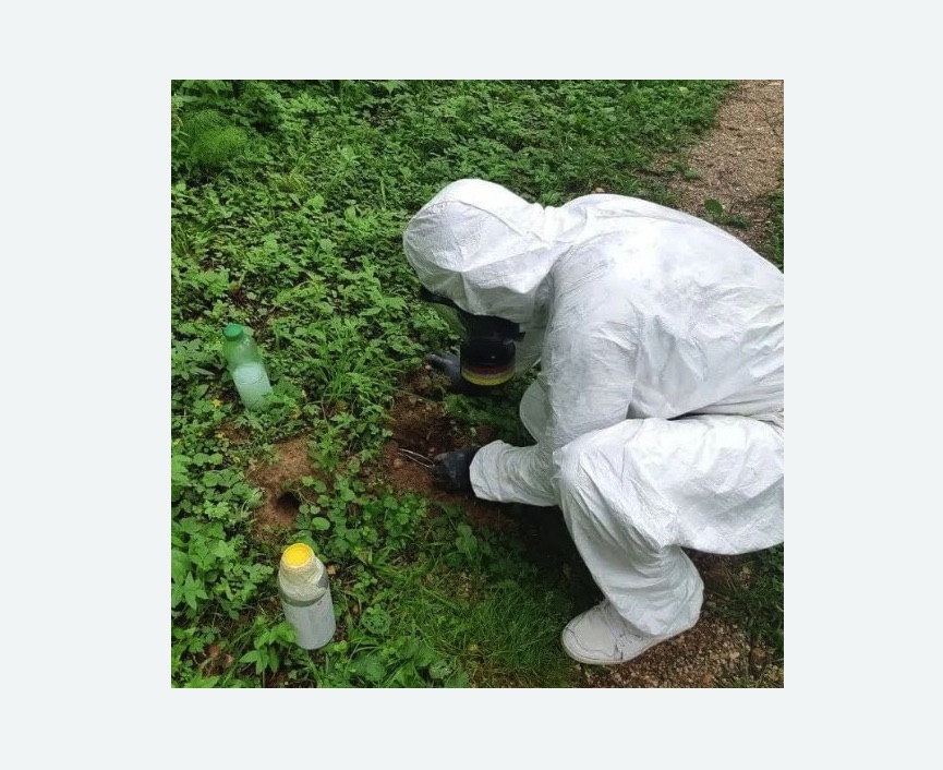 уничтожение кротов на участке уничтожение кротов на участке в Михайлове