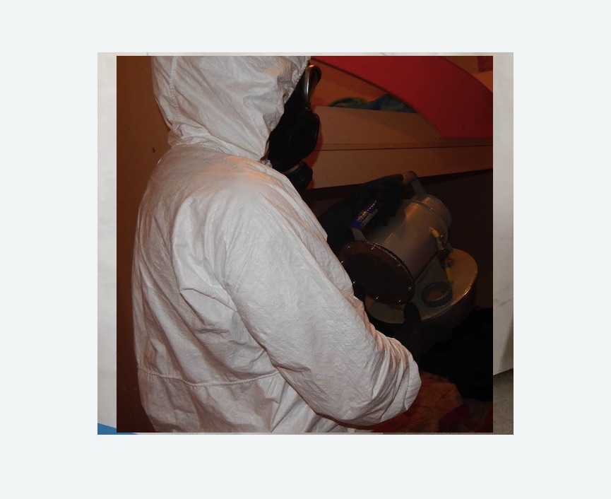 Дезинфекция от муравьев Дезинфекция от муравьев в Михайлове