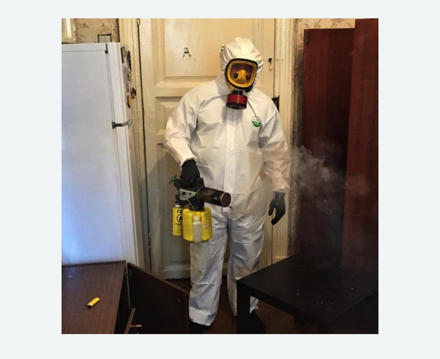 уничтожение муравьев в квартире уничтожение муравьев в квартире в Михайлове